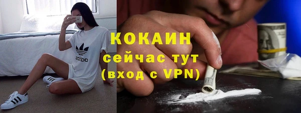 хмурый Алзамай
