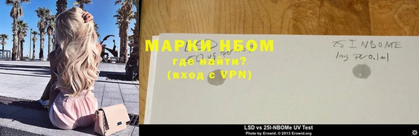 хмурый Алзамай