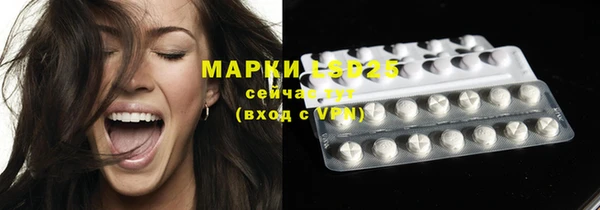 хмурый Алзамай