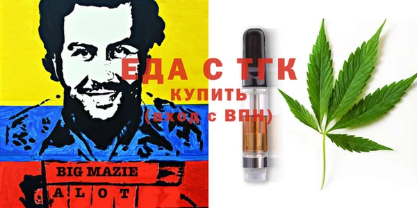 хмурый Алзамай